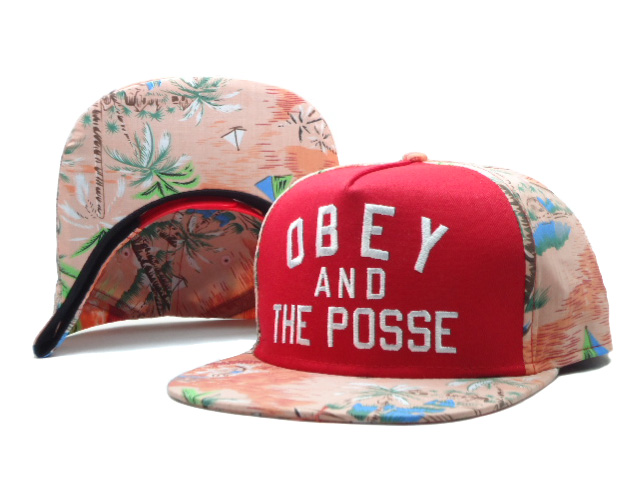 OBEY Snapback Hat #129
